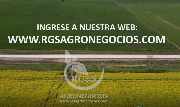 Venda de fazendas e estancias no uruguai